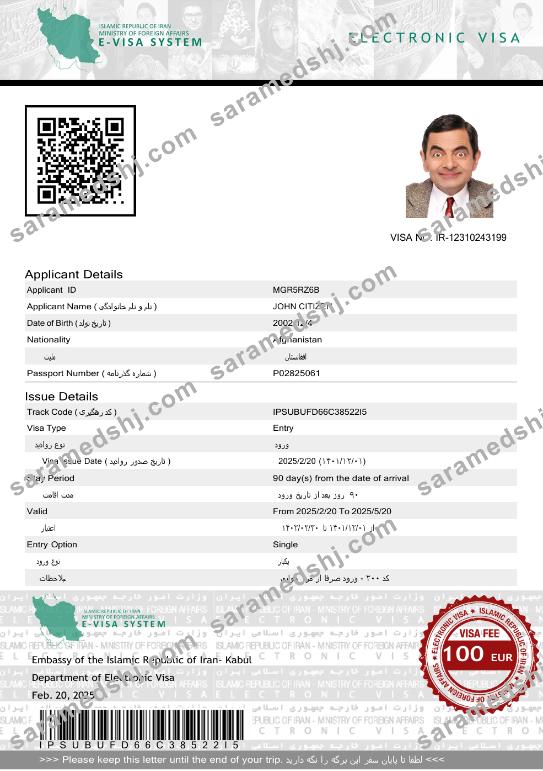 Iran e-visa template in Word and PDF formats